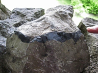 Band of chert [PS]